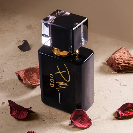 P.Michael signature OUD - Night